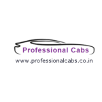 Professional Cabs logo