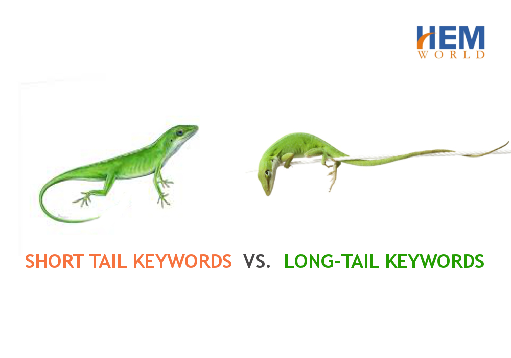 Short tail keywords vs. Long-tail keywords